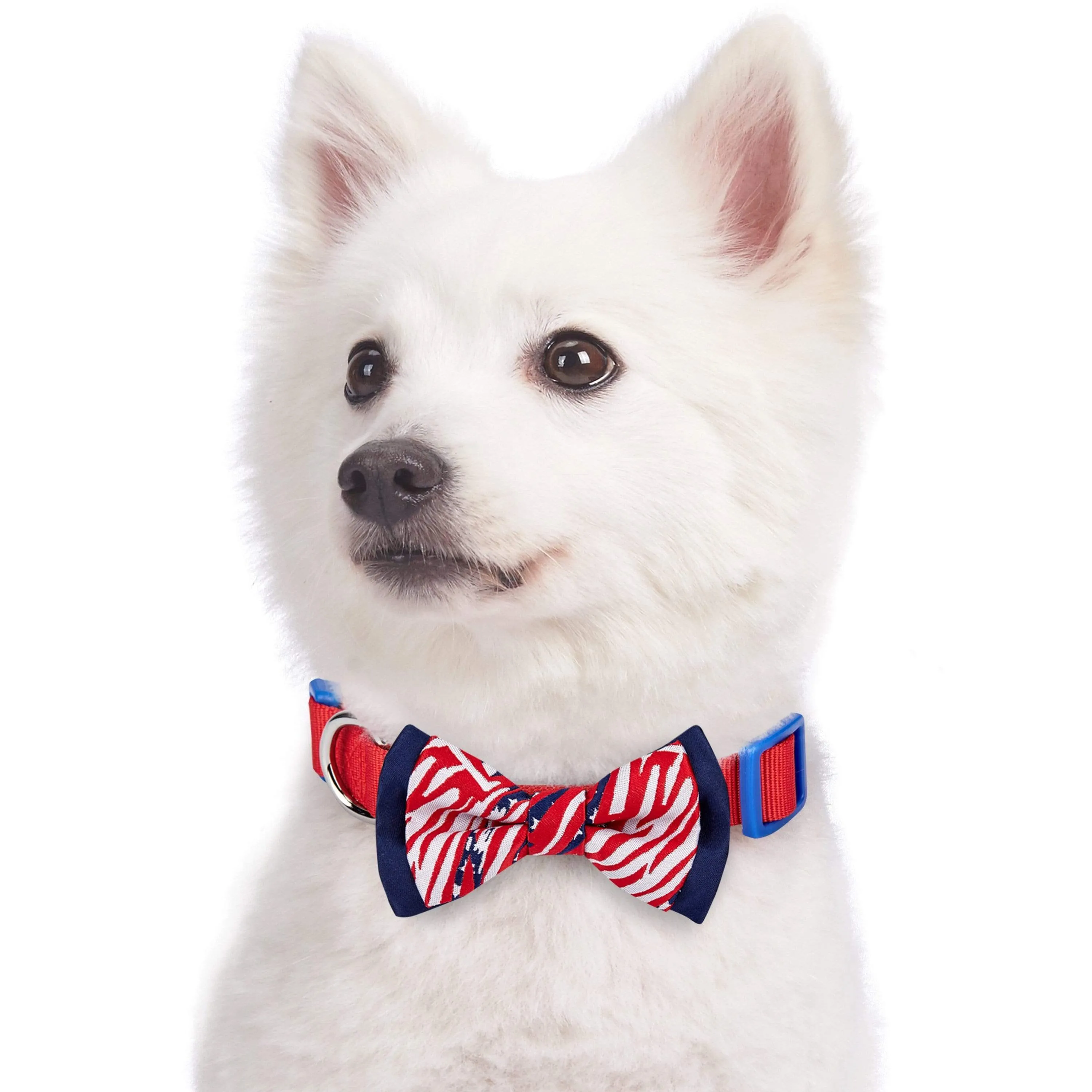 Artistic American Flag Bowtie Dog Collar