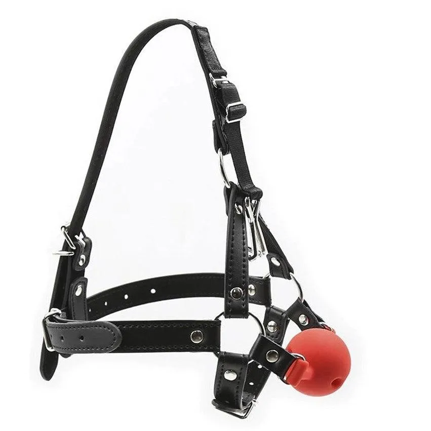 Ball Gag - Full Head Harness Breathable Gag with Nose Hook (2 colors)