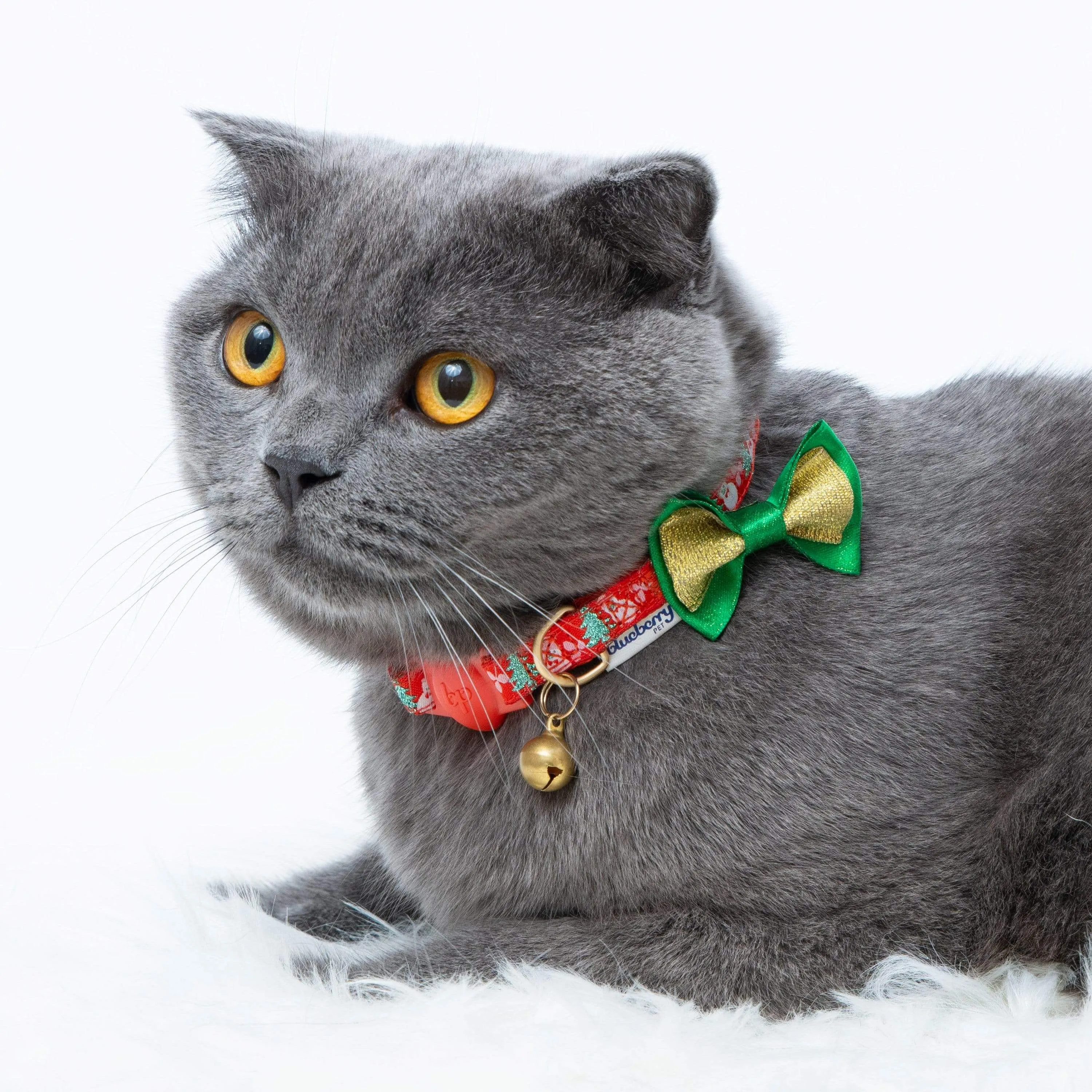 Holiday Fun Cat Collar, 2 Pack