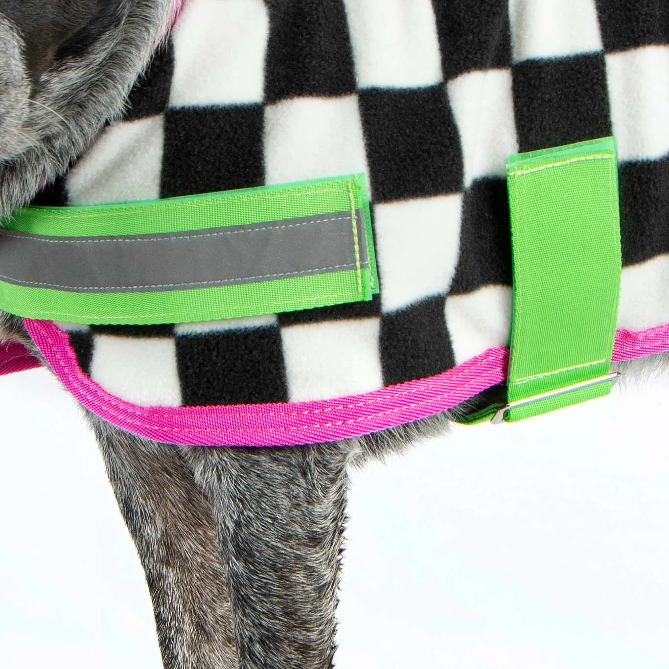 PRE-SALE! Jeffers Expression Dog Fleece, Skater Pup