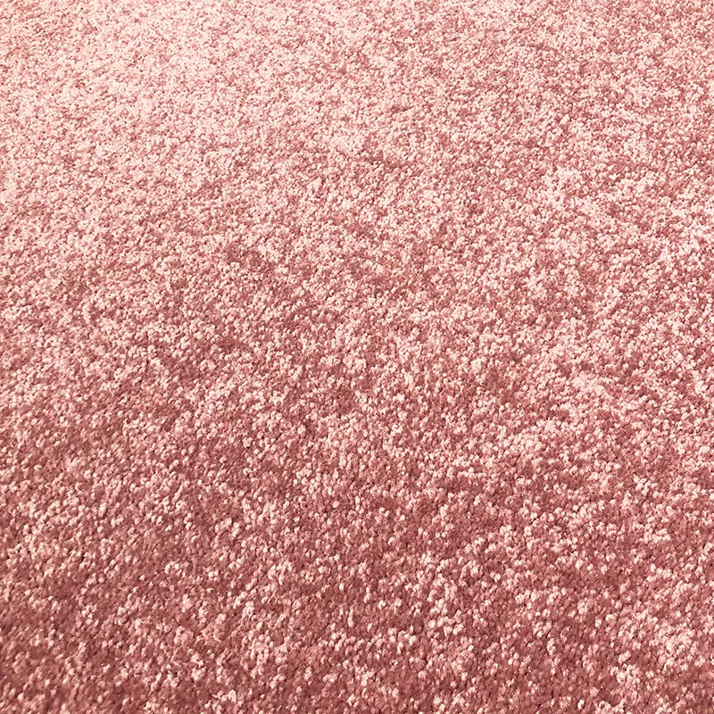 Sarah Pink Rug  20 x 12