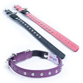 Studded Cat Collars