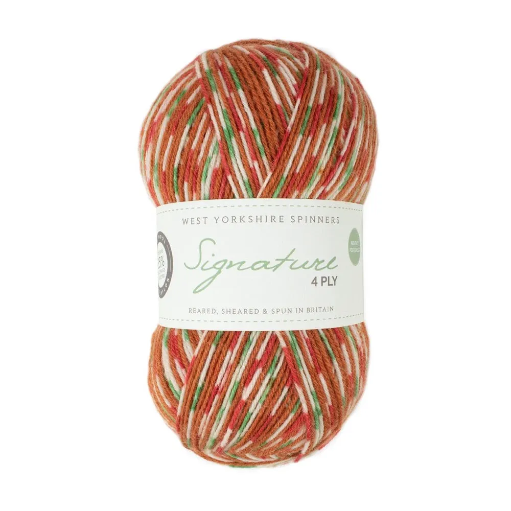 West Yorkshire Spinners Signature 4ply Sock