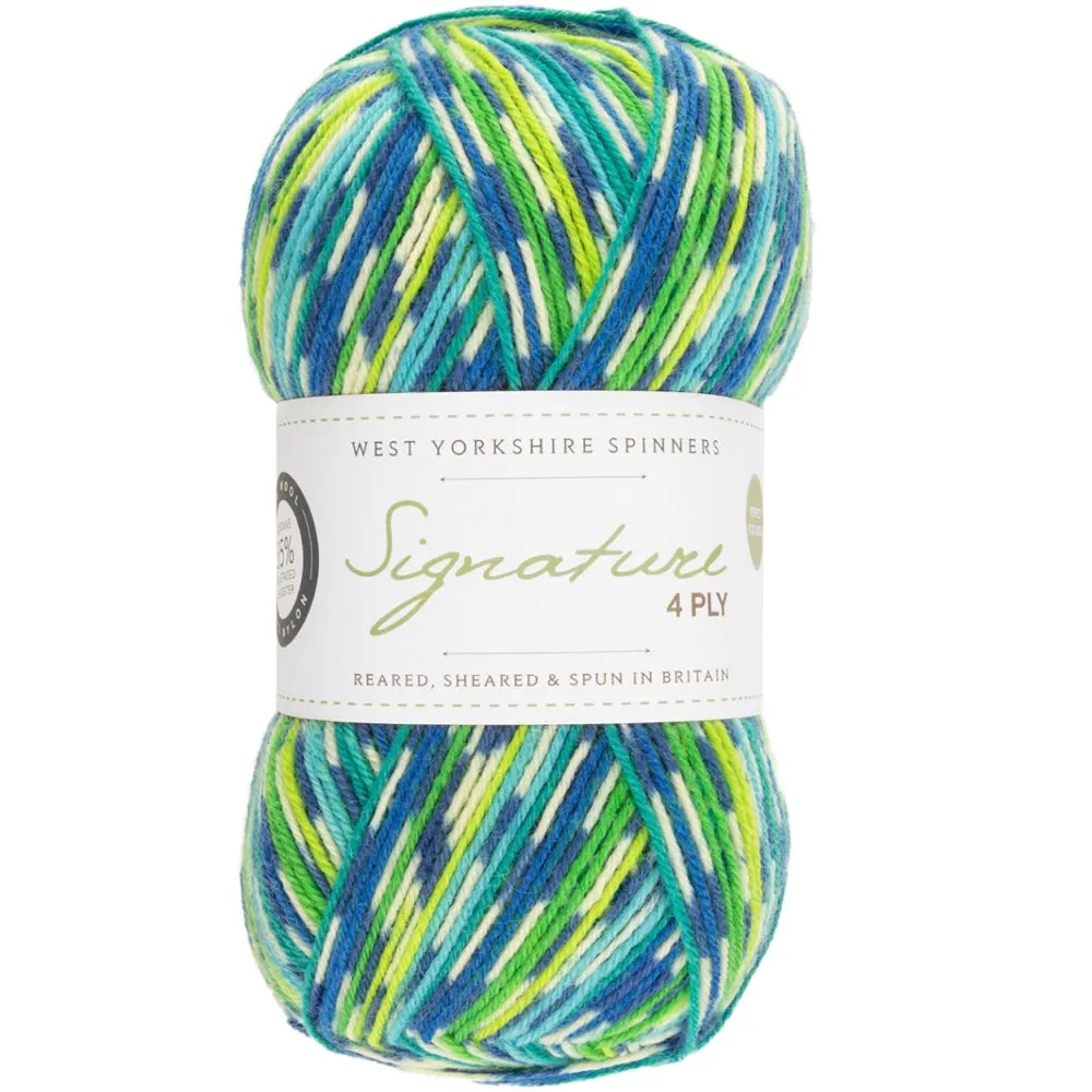 West Yorkshire Spinners Signature 4ply Sock