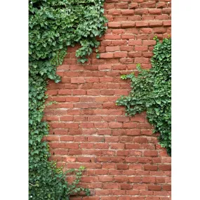 X-Drop Canvas Backdrop - Brick and Ivy Wall (5' x 7')