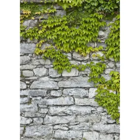 X-Drop Canvas Backdrop - Leafy Stone Ridge (5' x 7')